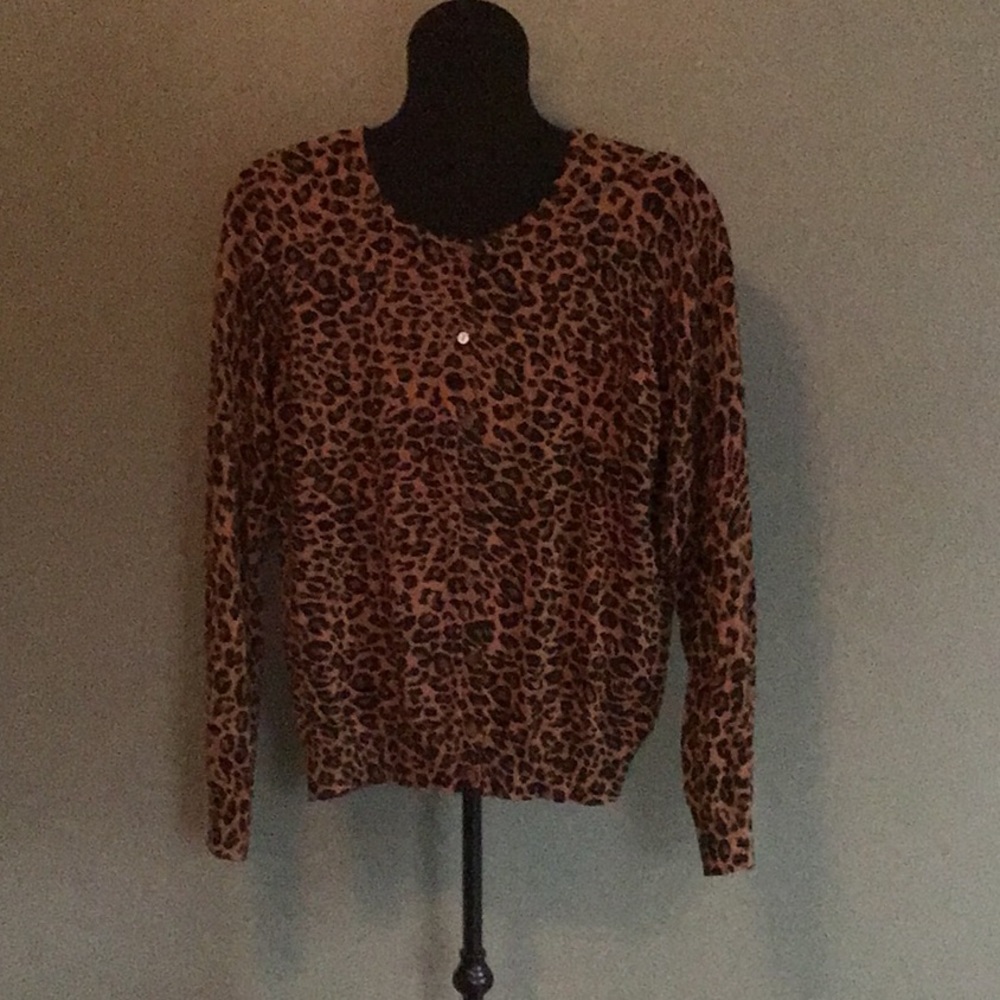 Cardigan sweater